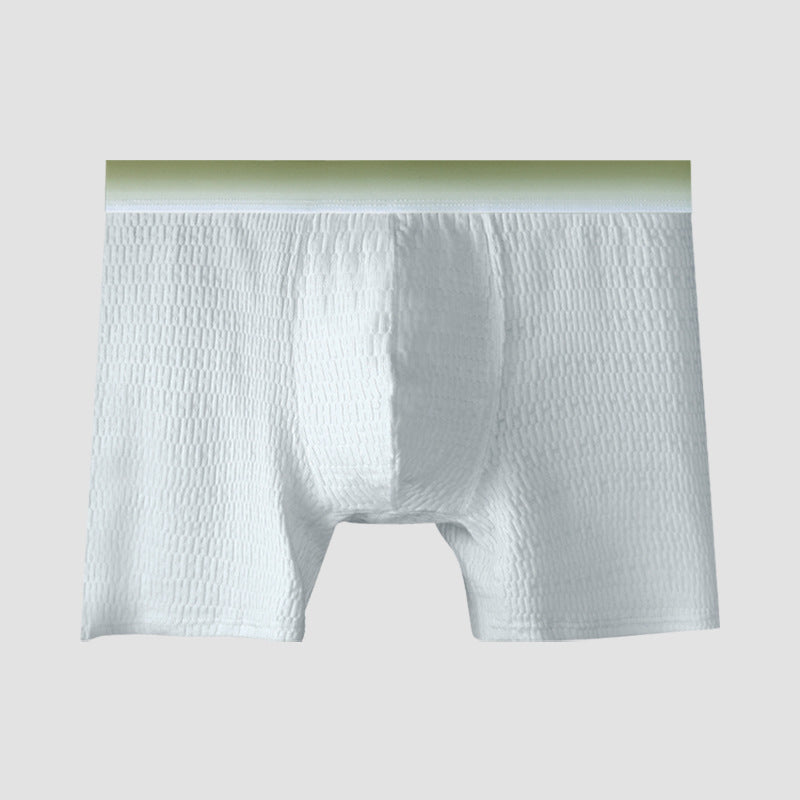 Men's Anti-chafing Antibacterial Boxer Briefs Summer Thin Extended Large Size Comfortable